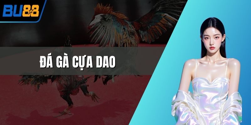đá gà cựa dao